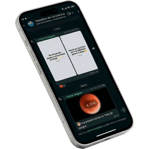 Vista previa del canal